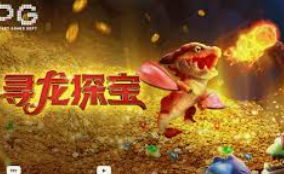 ayx官方app手机版